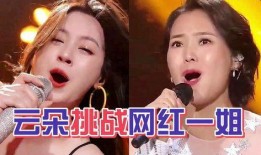 爆料一姐视频那些歌,旋律动人，情感真挚