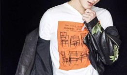 黄子韬反面爆料视频大全,娱乐圈背后真相大曝光