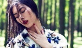 刘雯王者爆料视频播放,揭秘明星游戏背后的故事