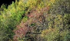 初冬爆料视频大全集,视频大全集精彩瞬间回顾