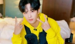 爆料明星事件李汶翰视频,真相与争议交织