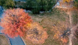 初冬爆料视频大全集,视频大全集精彩瞬间回顾