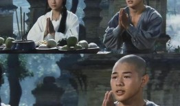 李连杰少林寺在线观看,李连杰经典武术传奇，在线重温武侠巅峰之作