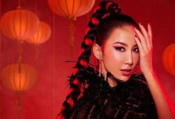 李玟各种知情人爆料视频,揭秘明星背后的故事