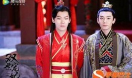 双世宠妃 在线观看,双世宠妃在线观看之旅