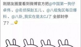 吃瓜娱乐大事件真相,真相背后的真相