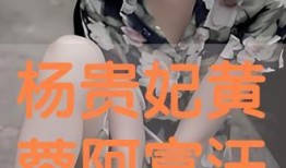 黄蓉版杨贵妃在线观看,穿越时空的绝代佳人