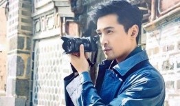 爆料娱乐圈胡歌百度云,娱乐圈幕后真相大揭秘