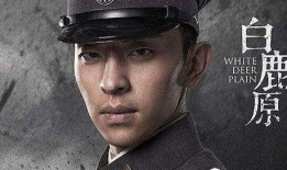 阿飞爆料林先生视频大全,林先生视频大全背后的惊人真相