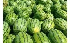 网红吃瓜爆料入口在哪,一探究竟的神秘之门