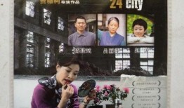 二十四城记在线观看