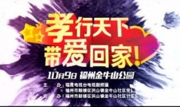 福建卫视直播在线观看,实时掌握精彩瞬间，尽享视听盛宴
