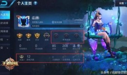 王者2.9最新爆料,神秘英雄登场，战局再起风云