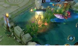 爬山爆料龙王视频,爬山爆料背后的惊人真相