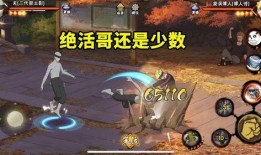 仙人兜忍者爆料视频下载