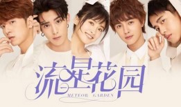 流星花园在线观看全集,重温经典，青春回忆再现