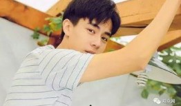 刘宪华爆料自己被骗视频,揭秘娱乐圈背后的陷阱与真相