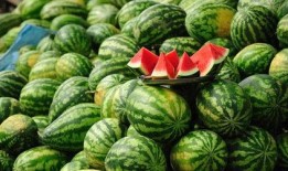 花花吃瓜娱乐求关注版,揭秘娱乐圈幕后故事，只为博君一笑