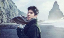 圈内爆料刘昊然陈坤视频,幕后真相引热议