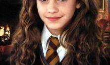 哈利波特最新轮盘爆料,神秘轮盘新线索，揭秘魔法世界最新秘密