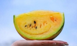 云南网红吃瓜事件,一场网络狂欢背后的真相与反思