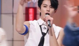 王鹤棣女友爆料了吗视频,真相究竟如何？