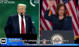 美国大选林伍德最新爆料,揭秘美国大选背后惊人内幕！”