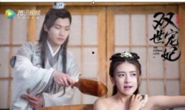 双世宠妃 在线观看,双世宠妃在线观看之旅