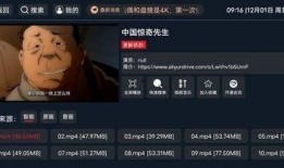 特别的视频在线观看,探寻幕后制作与精彩瞬间
