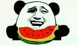 娱乐吃瓜酱背景图,揭秘娱乐圈幕后故事，带你领略明星们的真实生活