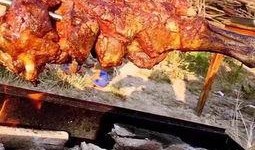 上门烤羊爆料是真的吗视频,上门烤羊爆料视频真实性揭秘