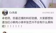 卓伟最新爆料大佬是谁呀,揭秘神秘大佬身份