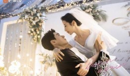 从结婚开始恋爱在线观看,甜蜜婚姻的甜蜜转变