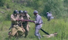 大刀在线观看,热血激战，刀光剑影的传奇故事