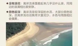 海南溺水爆料视频播放下载,视频曝光，紧急救援行动展开