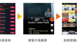 真理博士技能爆料视频大全,全方位技能爆料视频大盘点