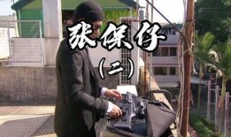 张保仔tvb在线观看,重温经典，感受港剧魅力