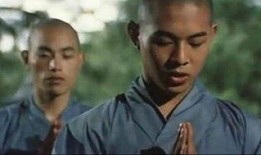 李连杰少林寺在线观看,李连杰经典武术传奇，在线重温武侠巅峰之作