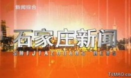 石家庄夜间爆料新闻报道,聚焦城市夜生活动态与热点事件