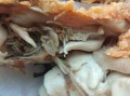 爆料炸鸡有虫视频,揭秘食品安全背后的隐患