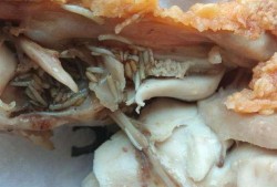 爆料炸鸡有虫视频,揭秘食品安全背后的隐患