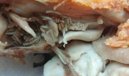 爆料炸鸡有虫视频,揭秘食品安全背后的隐患