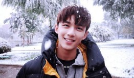 圈内爆料吴磊感情破裂,圈内爆料背后的真相揭晓