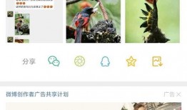 昆明爆料小视频,揭秘城市生活点滴