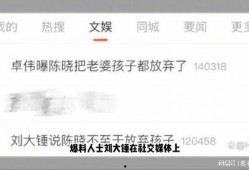 刘大锤爆料预告视频大全,揭秘幕后精彩瞬间