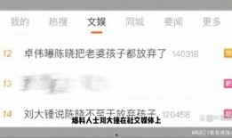 刘大锤爆料预告视频大全,揭秘幕后精彩瞬间