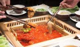 美食爆料热点视频大全,热门视频带你领略各地美食风采