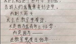 娱乐爆料文稿怎么写,明星幕后故事大公开