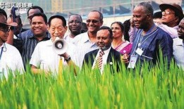 袁隆平媒体爆料视频,揭秘杂交水稻背后的创新与智慧