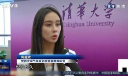 港媒爆料何超欣视频,引发网络热议